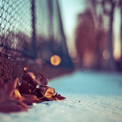 1920 x 1080 HD Wallpapers 1624